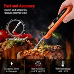 Meat Thermometer