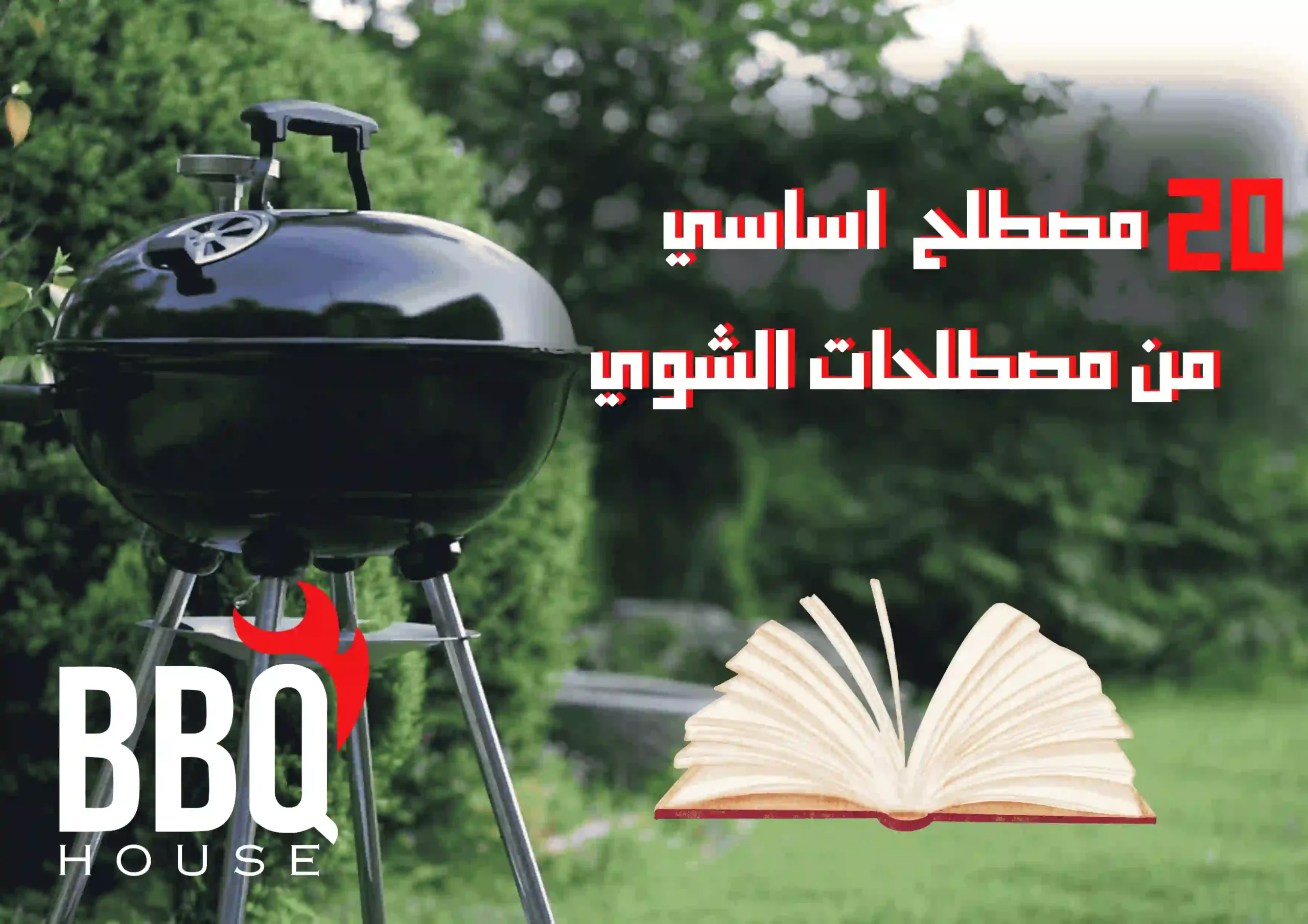 20 مصطلح اساي من مصطلحات الشوي